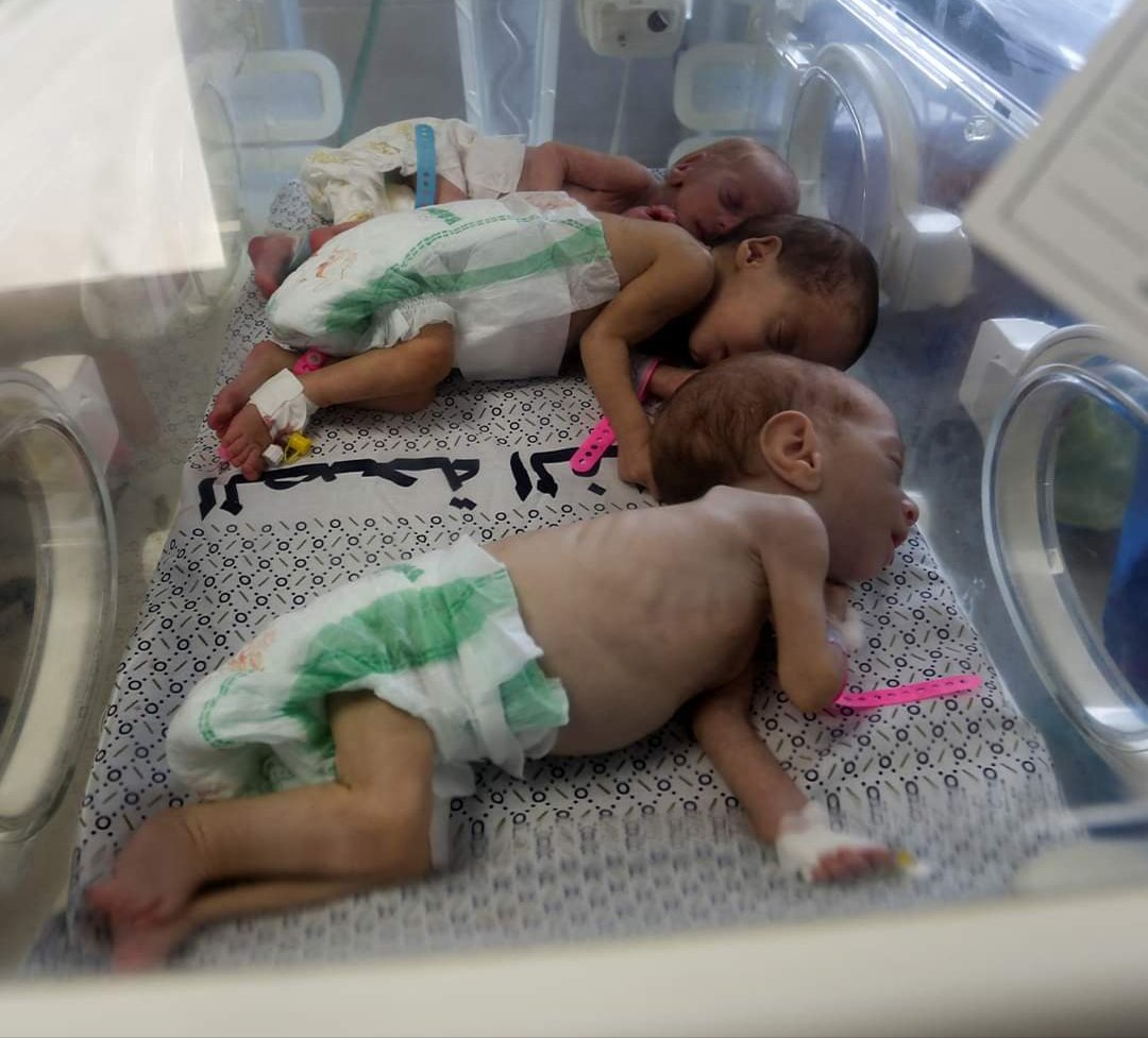 Crisis unfolds in Gaza’s Al Shifa Hospital as 31 premature babies evacuated